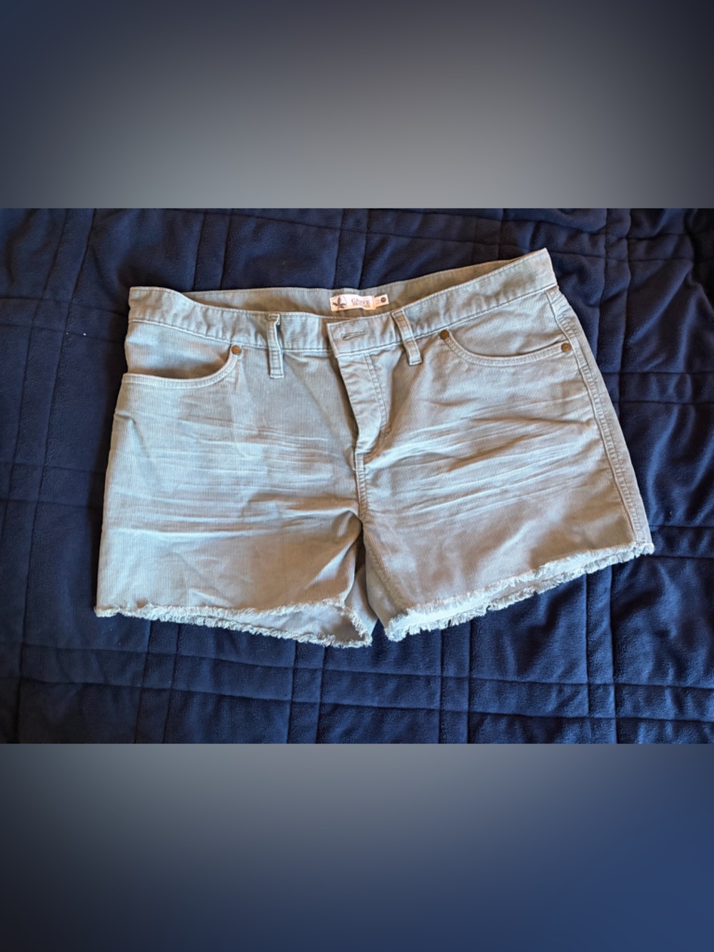 Carve Designs Light Sage Green Frayed Hem Corduroy Shorts